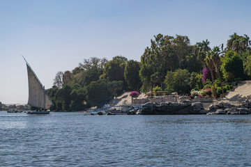 Beautiful scene for Nile river and boats from Luxor and Aswan tour in Egypt