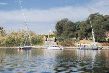 Fototapeta na wymiar Beautiful scene for Nile river and boats from Luxor and Aswan tour in Egypt