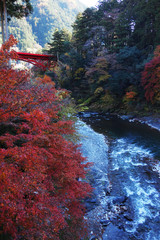 紅葉の山に流れる川