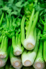 Fresh celery on the market close-up. Healthy food. Selective focus