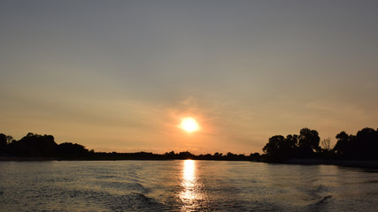 Field and garden flowers. Spring or summer wildflowers closeup. Rural field. Environment. Landscape panorama with flowering flowers.