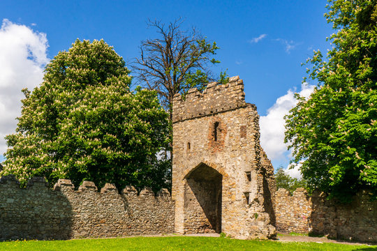 Monkstown Castle ruins surrounded by blooming chestnut trees on a beautiful spring day in Dublin, Ireland. Derelict old Irish stone tower gate.