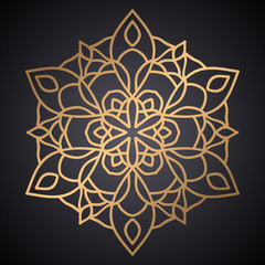 luxury mandala pattern design vector