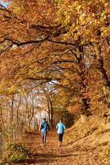 running in forest woods