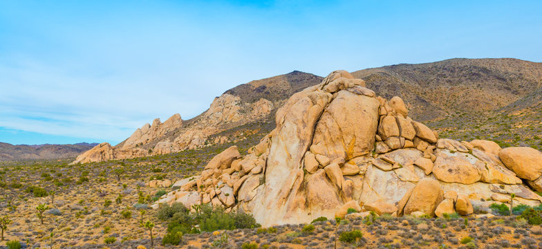 Monzogranite Mounds, Jousha Tree National Park