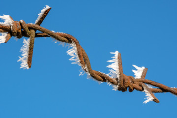 Frosted barbed wire