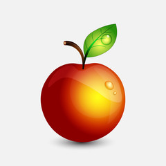 Apple. Fruits. Vector illustration.