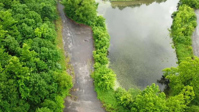 A lowering view next to the swamp