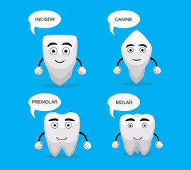 Tooth Types Cute Cartoon Vector Illustration