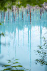 青い池