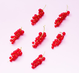 Fresh redcurrant on pink background. Flat lay, closeup. Modern summer pattern.