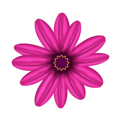 Realistic flower. Vector illustration.