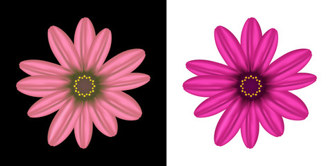 Realistic flower. Vector illustration.