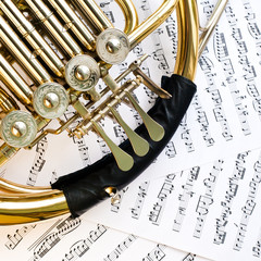 Fragment of French horn on background of notes