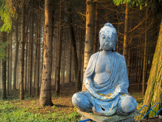 buddha on the entrance in the forest