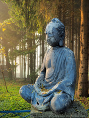 buddha on the entrance in the forest