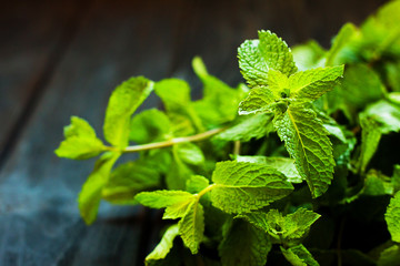 Fresh mint on dark wooden background