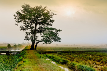 Vietnam countryside landscape.