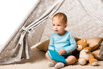 toddler boy holding blue book and sitting in wigwam with pillows and teddy bear isolated on white © LIGHTFIELD STUDIOS