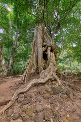 Buddhist temple in Angkor thom complex, Angkor Wat Archaeological Park in Siem Reap, Cambodia UNESCO World Heritage Site