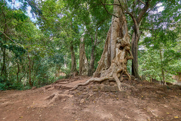 Obraz premium Buddhist temple in Angkor thom complex, Angkor Wat Archaeological Park in Siem Reap, Cambodia UNESCO World Heritage Site