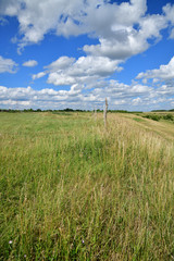 Fototapeta premium The Beautiful summer country landscape in steppe