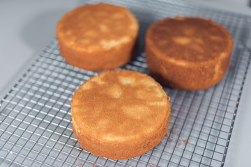 A beautiful organic delicious orange warm baked sponge cake base, on a metal baking tray rack, photographed with a soft depth of field.