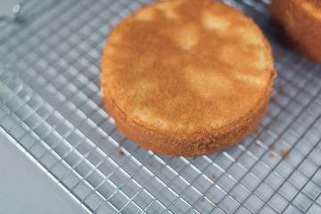 A beautiful organic delicious orange warm baked sponge cake base, on a metal baking tray rack, photographed with a soft depth of field.