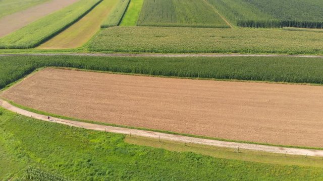 There is one big brown and many green fields in the midle of landscape. Aerial shot.