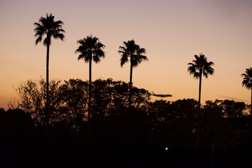 夕暮れのグラデーション