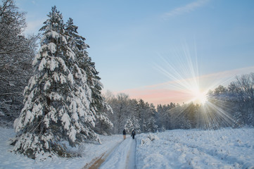 Two figures on the road in winter forest at sunset