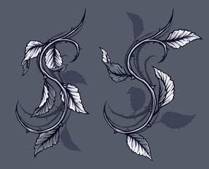 Graphic detailed black and white rose branch, stem with leaves, thorns and shadows. Isolated on gray background. Vector icon set. Vol. 1