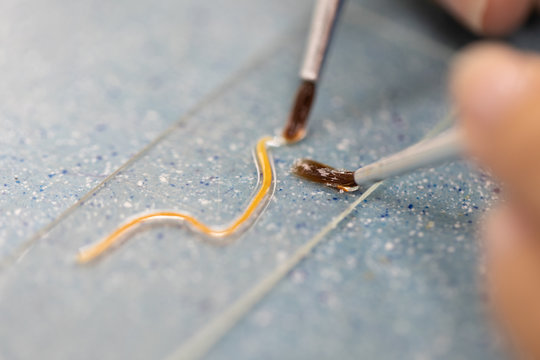 The study parasite or worms is a freshwater fish parasite in laboratory for education.