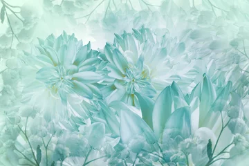 Floraler weiß-türkisfarbener Hintergrund. Dahlien blüht Nahaufnahme auf einem weißen Hintergrund. Blütenblätter. Grußkarte. Natur.. © nadezhda F