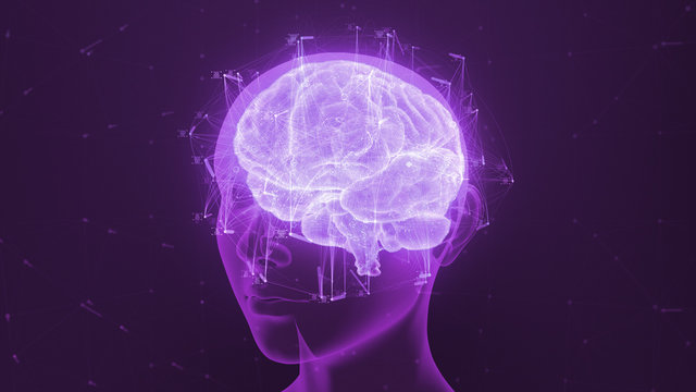 3D render of a holographic digital style human brain conveying the idea of artificial intelligence, bio hacking and the fusion of nature, technology and science