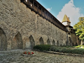 Garden below the medieval wall of Maiden Tower (Neitsitorn) Museum, Tallinn, Estonia © AngieC