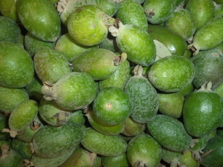 fresh ripe exotic green fruit of feijoa