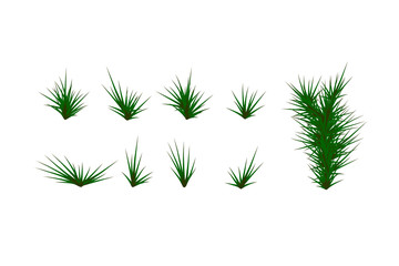 Set of Green grass. Green Grass White Background. Vector illustration