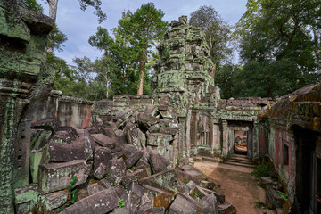 Trees raised on the ruins of the temple Ta Prohm,temple at Angkor Wat complex, Angkor Wat Archaeological Park in Siem Reap, Cambodia UNESCO World Heritage Site