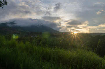 Red Spotted Purple butterfly feeding on minerals