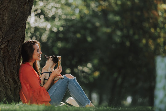 Laughing lady is sitting near tree in sunne park with her little pug puppy. Copy space on left side