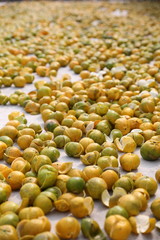 fresh tangerine peel or citrus rind