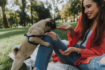 Smiling woman in sunny park is sitting on plaid and feeding her little pug