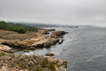 The low clouds obscure the end of Point Lobos State Natural Reserve in this view of the northern coastline taken from Monastery Beach.