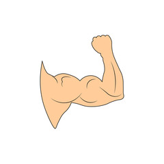 Muscles. Vector illustration.