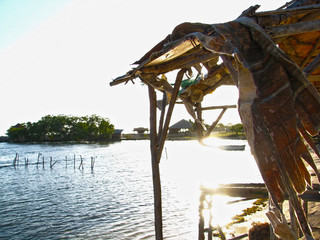 Beauty Jamaica