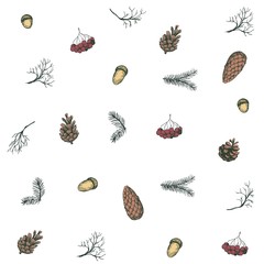 Seamless pattern with pine cones, rowan, fir branches, acorn. Vector illustration. Isolated