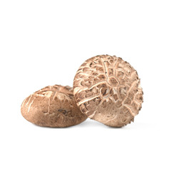 Shitake Mushroom isolate on white background