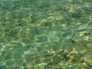 sunflecked rippling green water