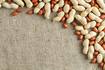 Roasted peanuts in a shell and peeled on a brown fabric background.